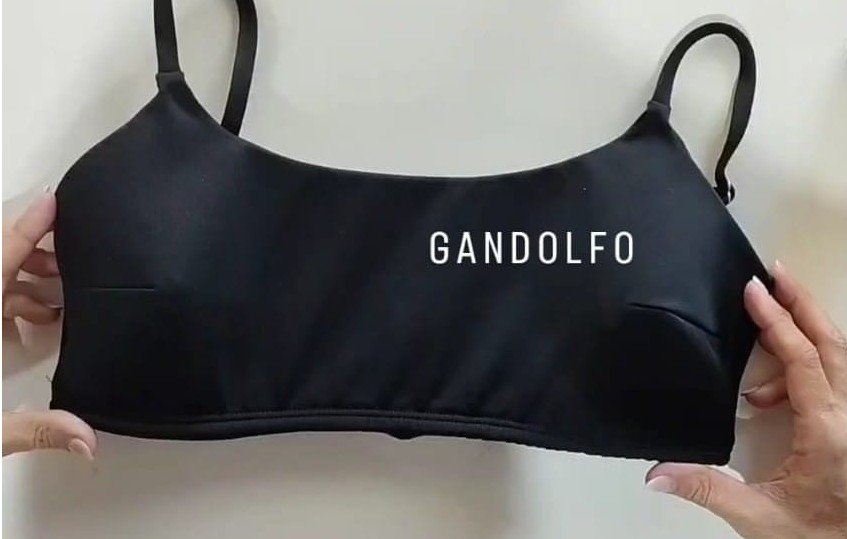 Ribelle Vedetina